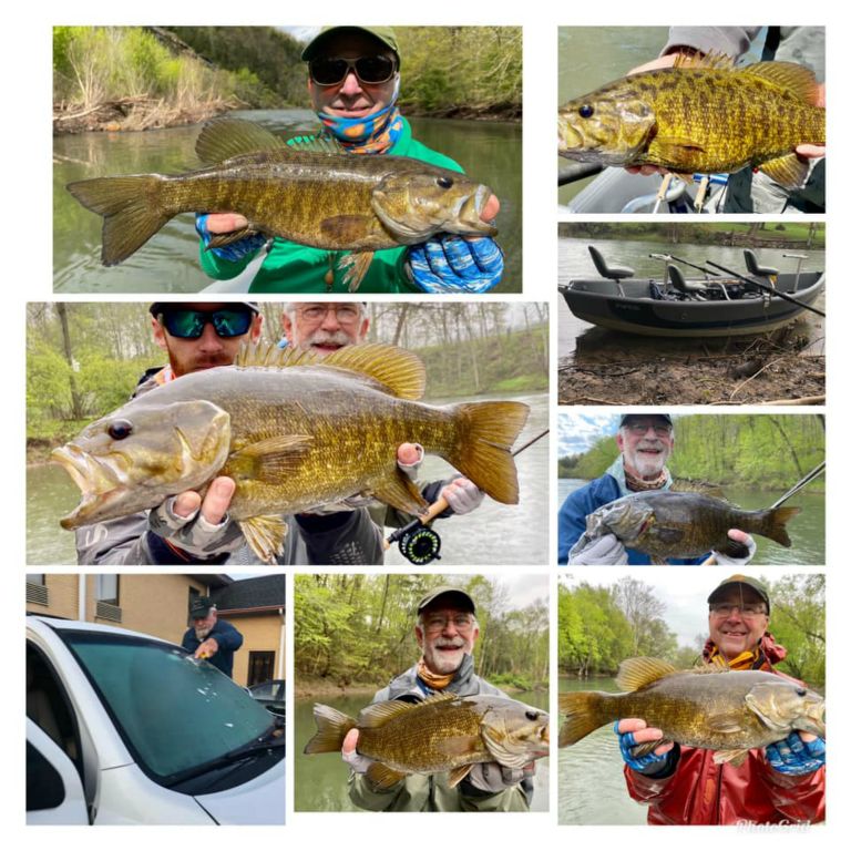 Guided fishing is legal now. Jake Villwock took us to 2 Central PA streams for smallmouths. Day 1 high was 46 with rain all day. Day 2 started at 34 degrees but got very sunny! All fish on streamers.Mostly on his Roamer pattern.